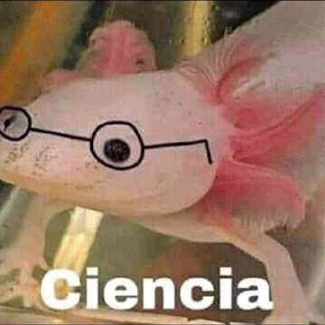 Foto de perfil de ANGEL ALONSO MACIAS MATIAS